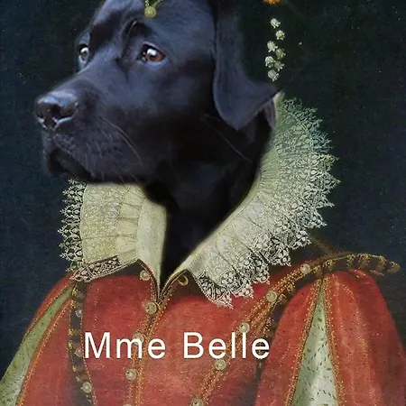 Rive Droite * Meaulne